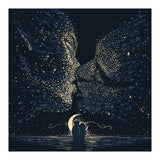 Starcrossed (Print Only) thumbnail
