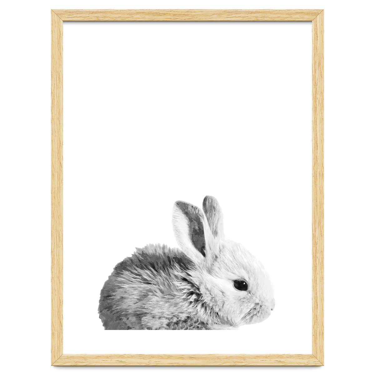 Black and White Bunny Portrait