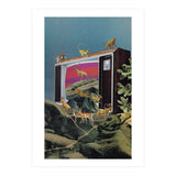 Animal Channel (Print Only) thumbnail