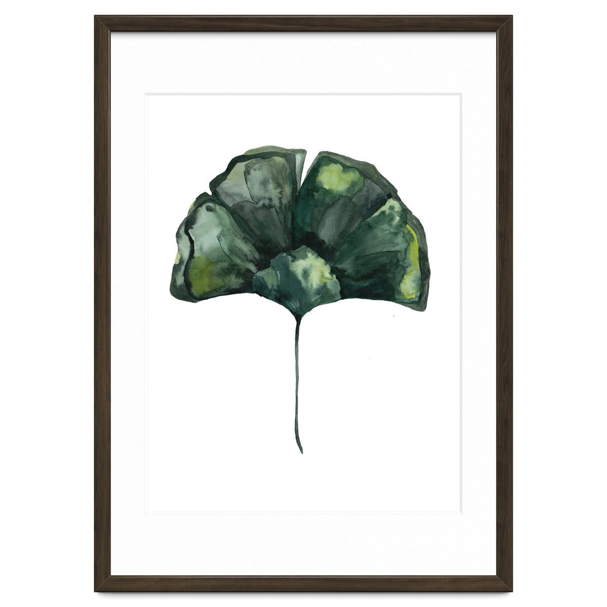 Botanical Illustration Ginko