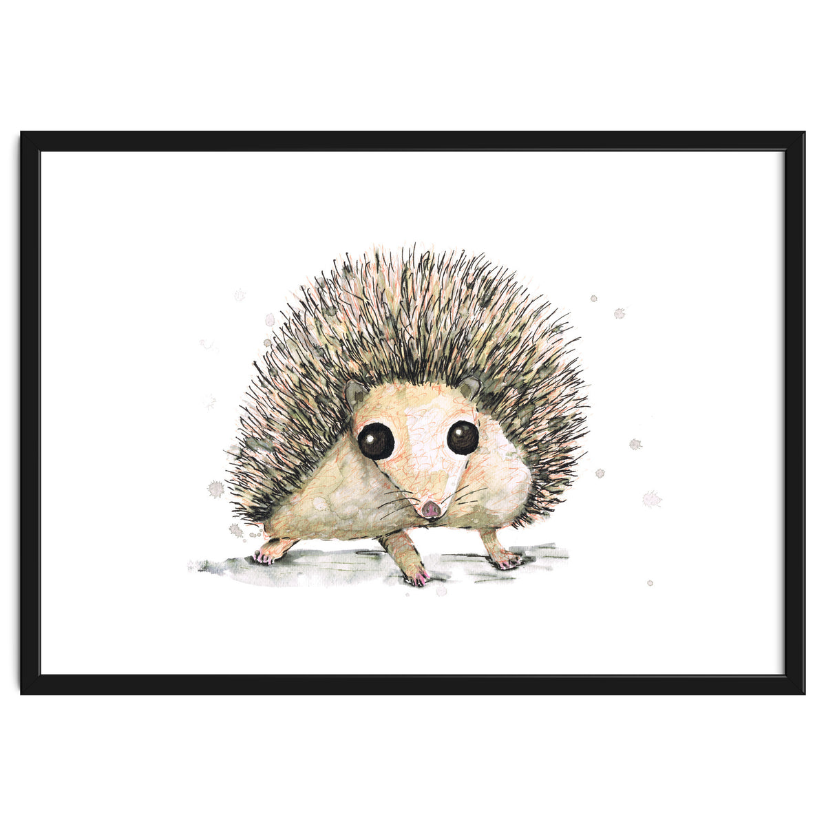 Hedgehog