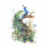Peacock - Wildlife Collection (Print Only) thumbnail