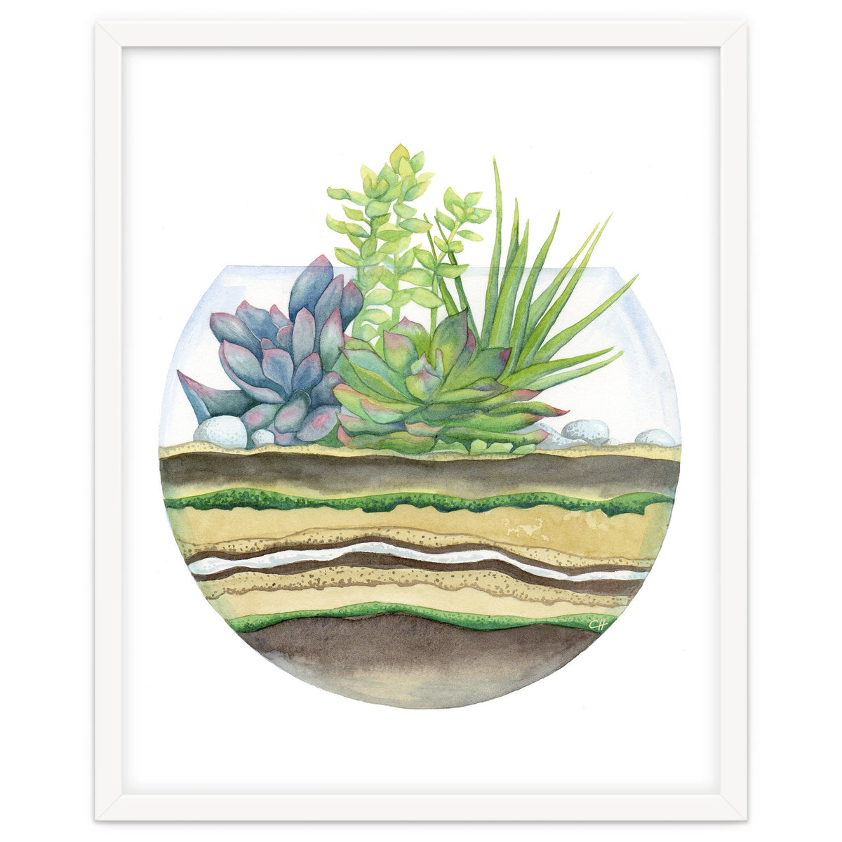 A Little Green Terrarium