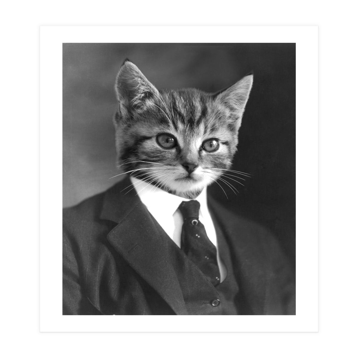 Gentleman Cat (Print Only)