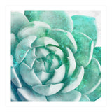 Rough Beauty 1 (Print Only) thumbnail