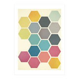 Honeycomb (Print Only) thumbnail