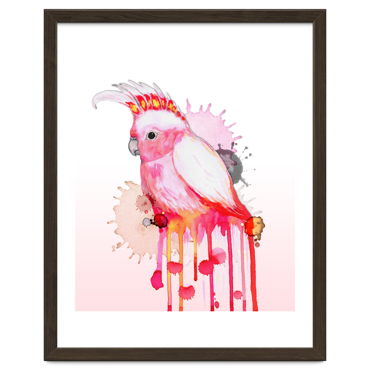 Major Mitchell's cockatoo