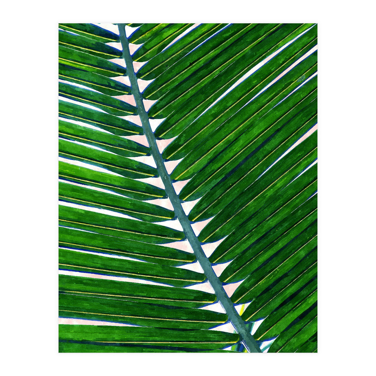 Foliage V3 (Print Only)