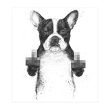 Censored Dog (Print Only) thumbnail