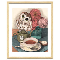 Sweet Little Tea Owl