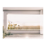 GRASS BY THE WINDOW (Print Only) thumbnail