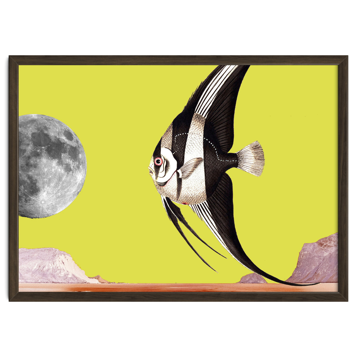 Plenty of fish in the sea yellow