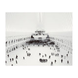 Oculus (Print Only) thumbnail