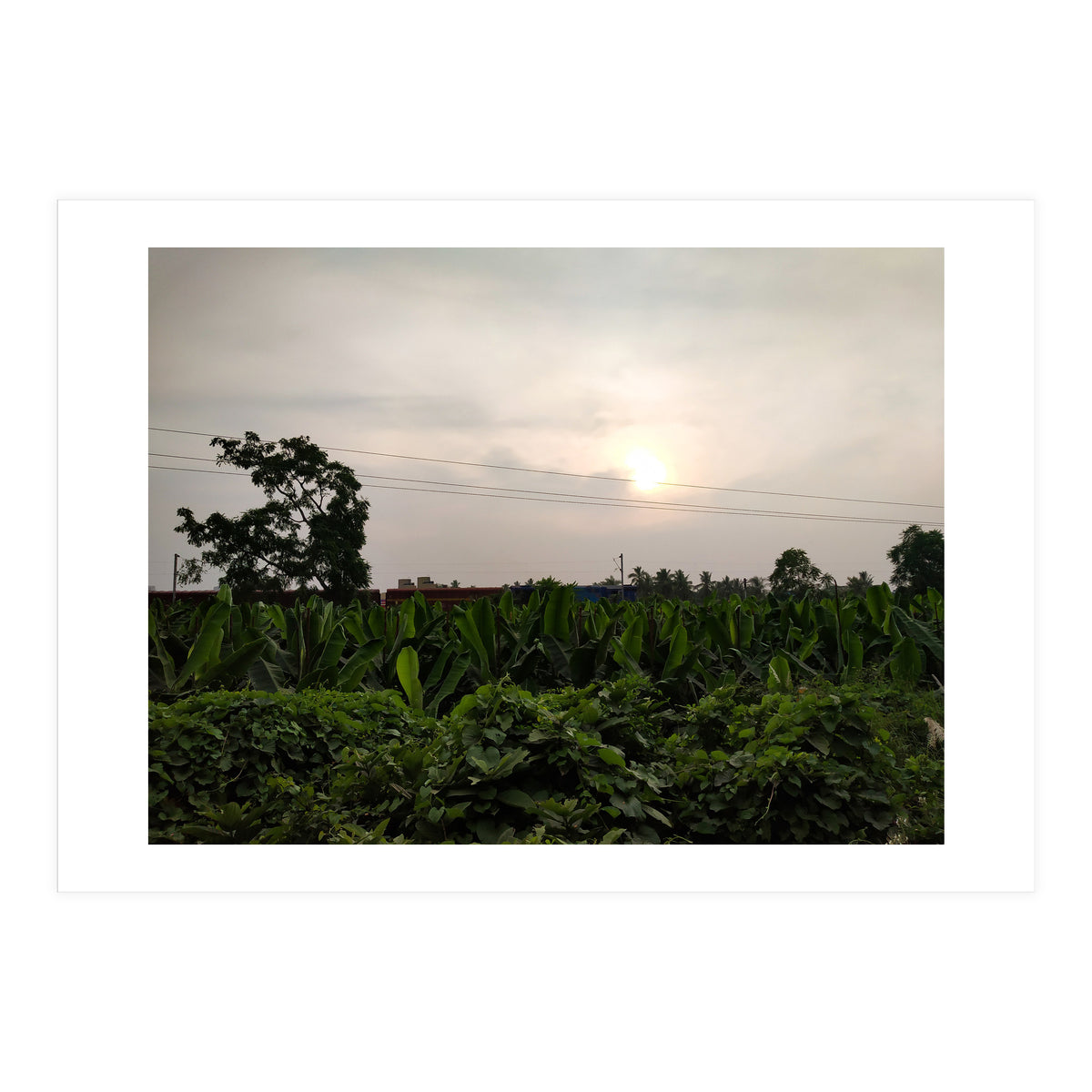 Never Ending Journey (Print Only)