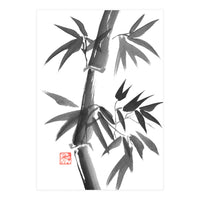 Bamboo 01 (Print Only)