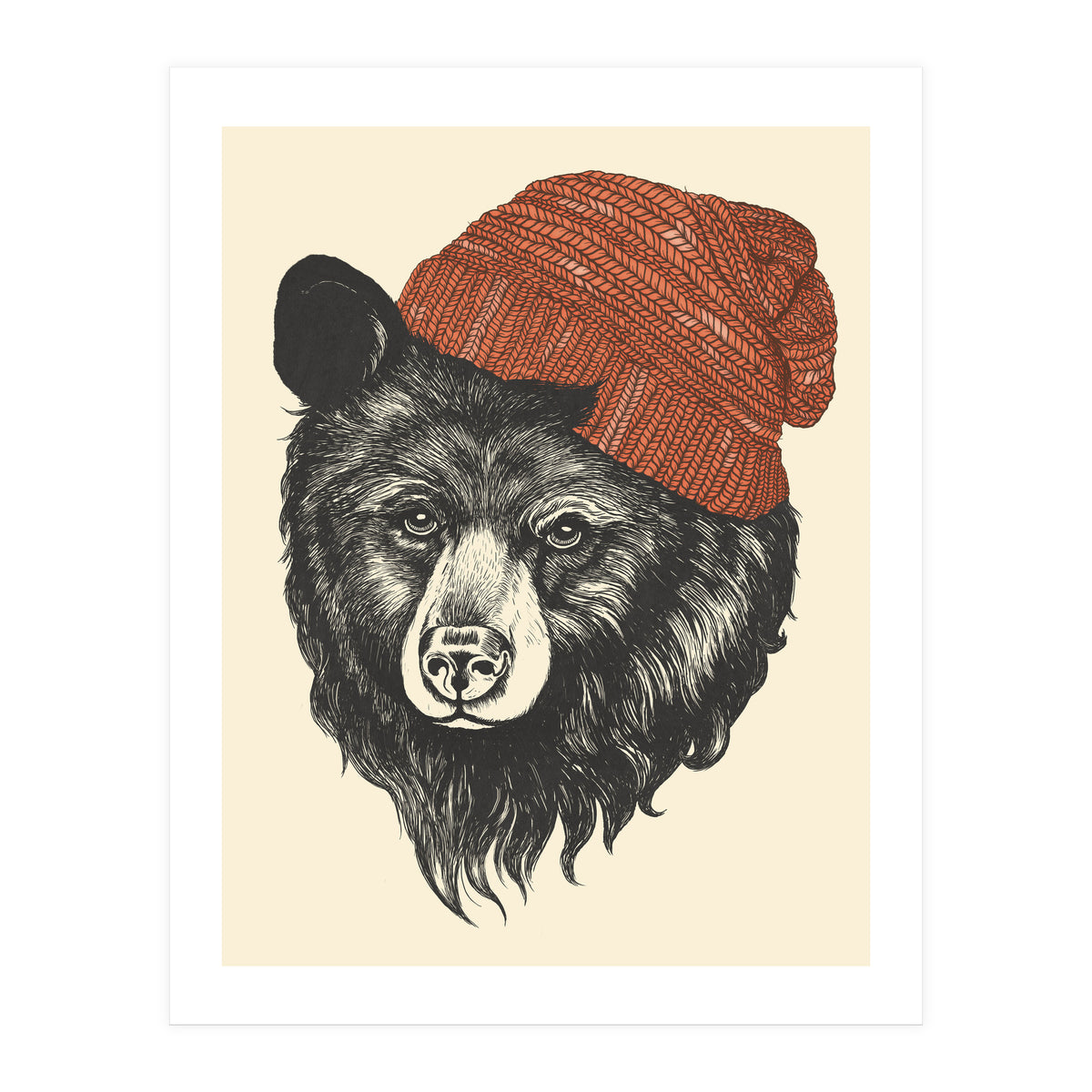 Zissou The Bear (Print Only)