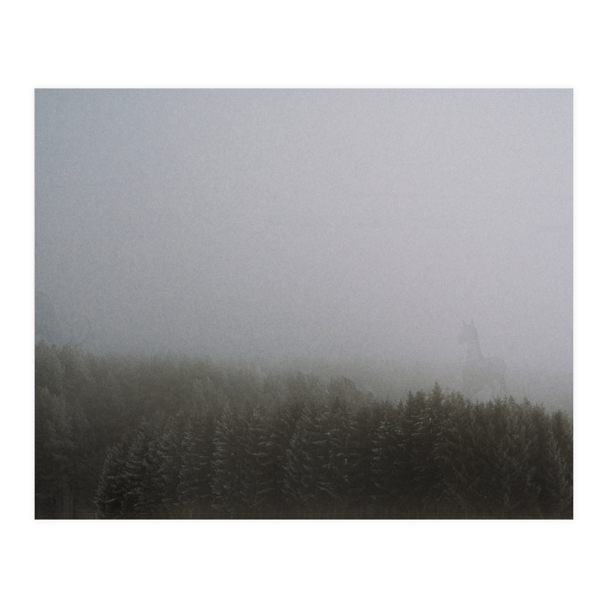 The Mist (Print Only)