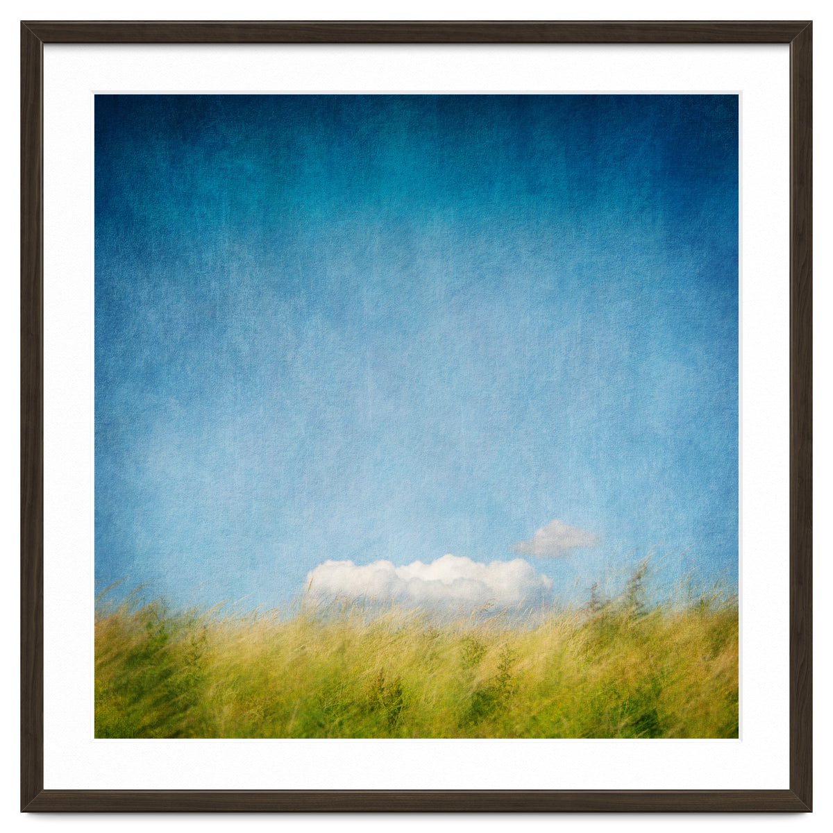 The Cloud That Fell From The Sky