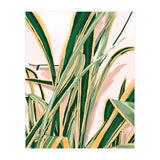 Blush Botanical Unfolding (Print Only) thumbnail