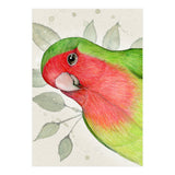 Curious lovebird (Print Only) thumbnail