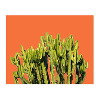 Bold Cactus (Print Only)