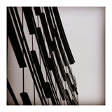 49297170 629 B 473 D B396 E6 A544 Fe82 Bb (Print Only) thumbnail