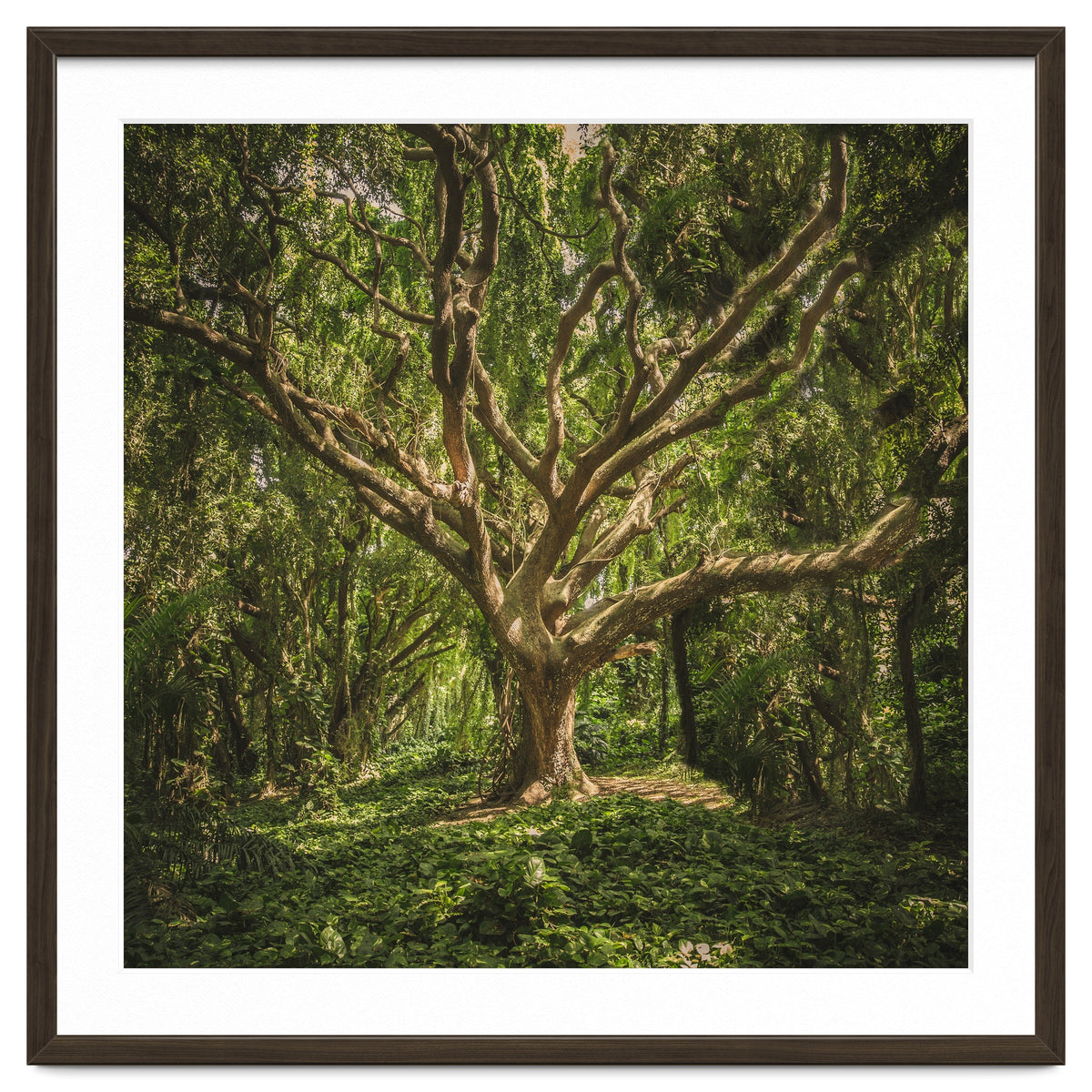 Spirits inside the wood