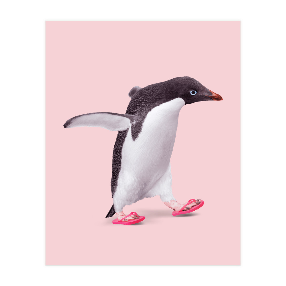 Flip Flop Penguin (Print Only)