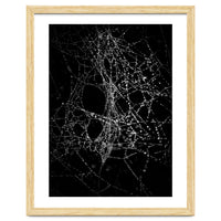 Spiderweb No 4