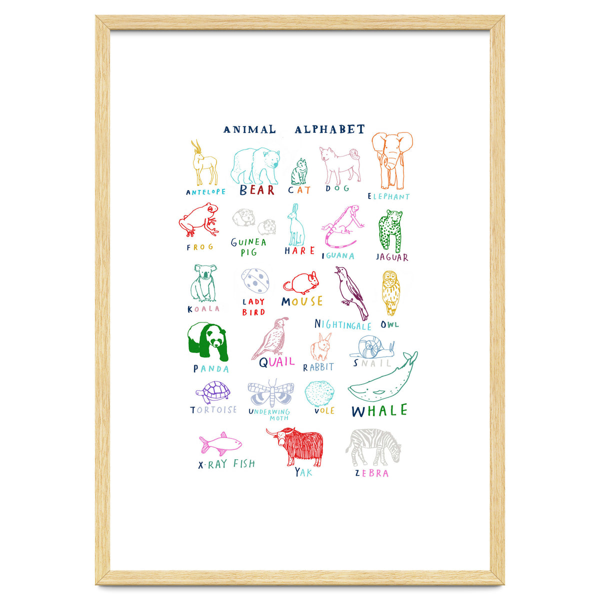 ABC Animals