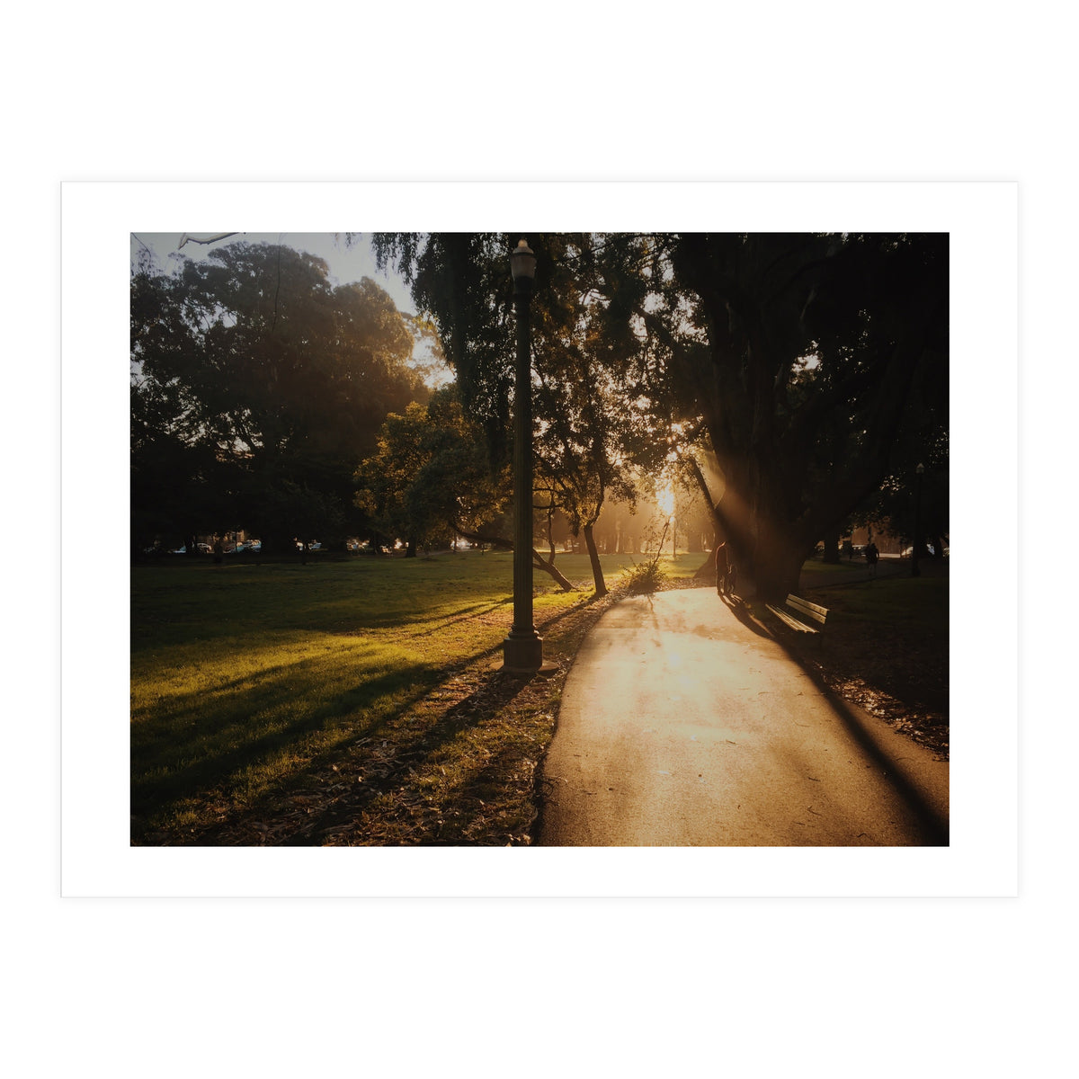 The Panhandle (Print Only)