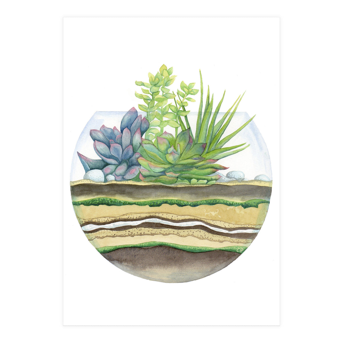 A Little Green Terrarium (Print Only)