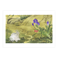 Rabbits, Iris & Poppy (Print Only)