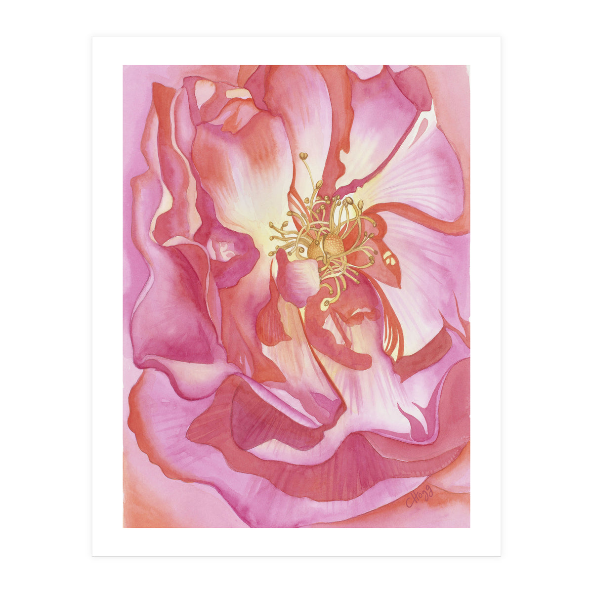 Love Is A Rose (Print Only)