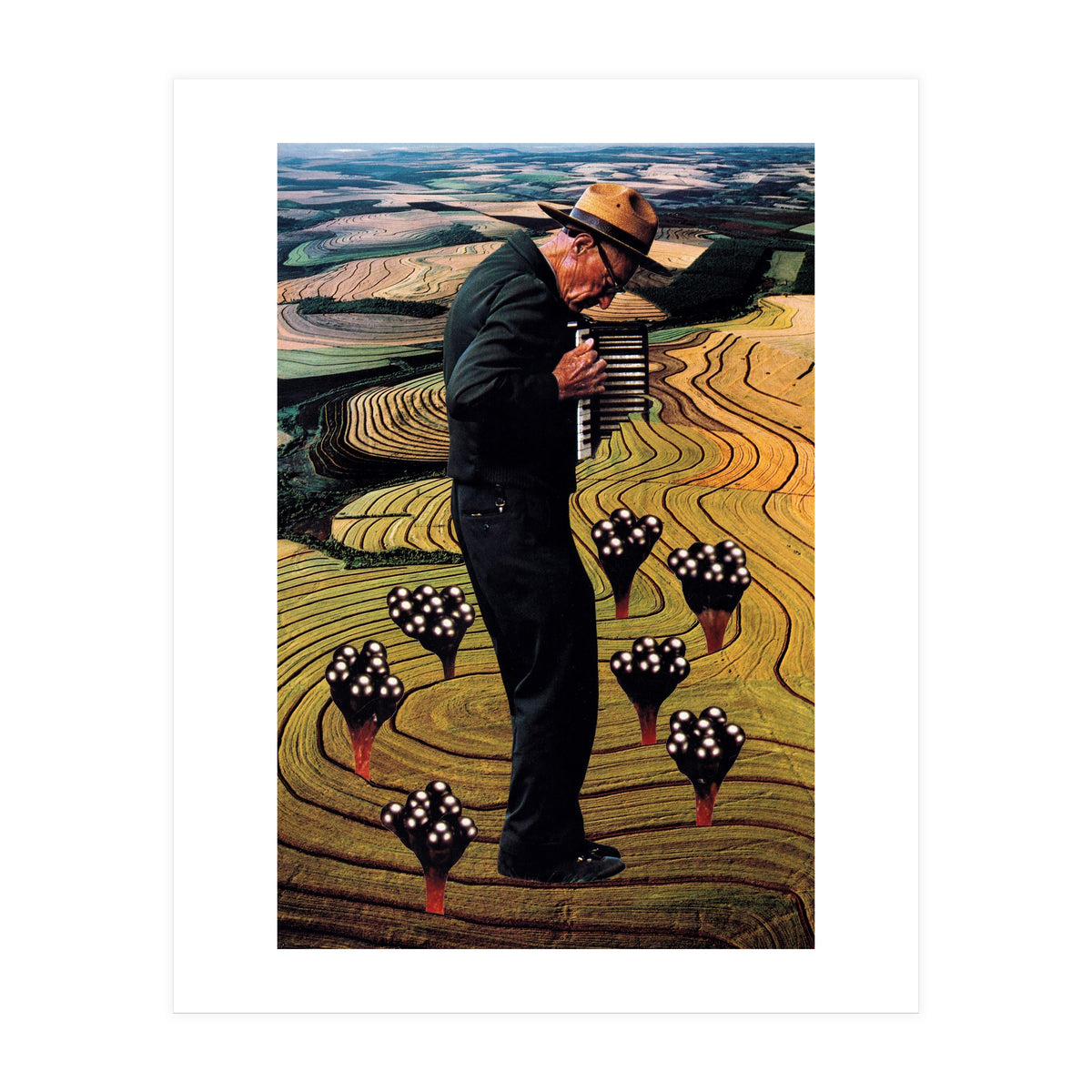 Accordion (Print Only)