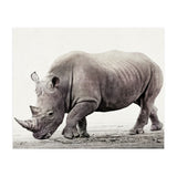 Rhino (Print Only) thumbnail