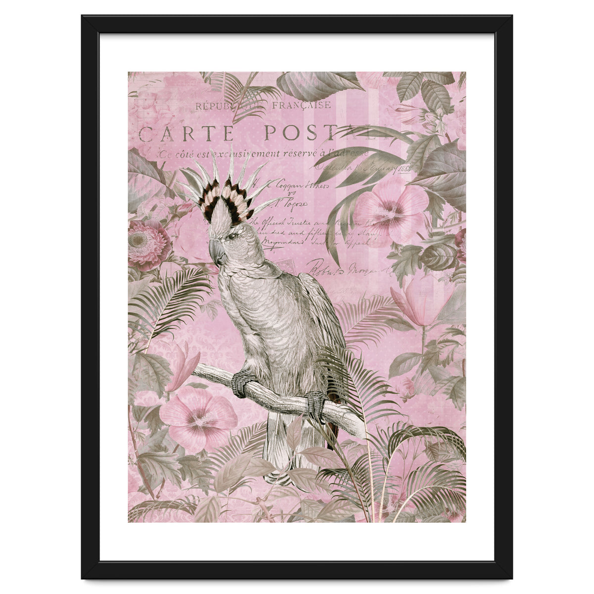 Jungle Cockatoo Pink