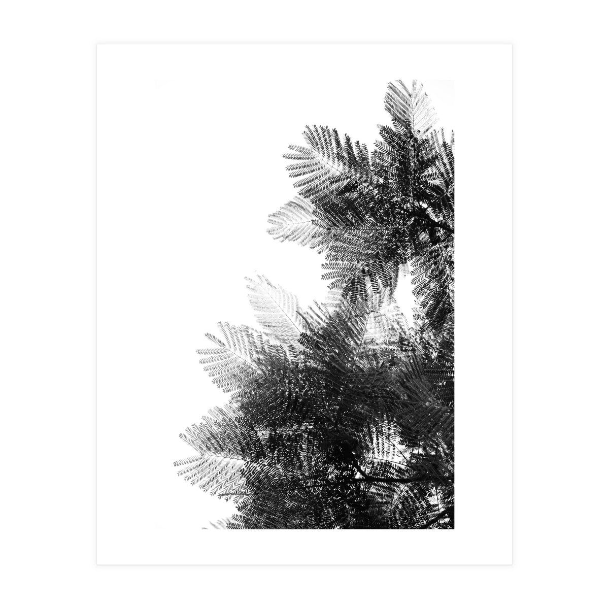 The Tree Top I (Print Only)