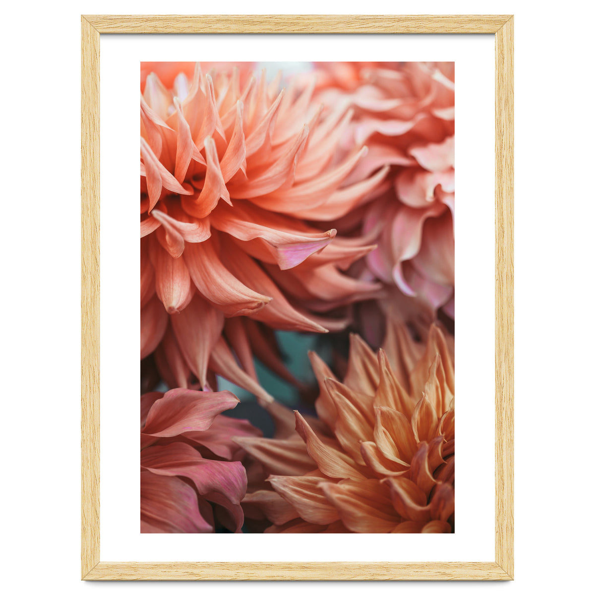 Vintage Dahlia