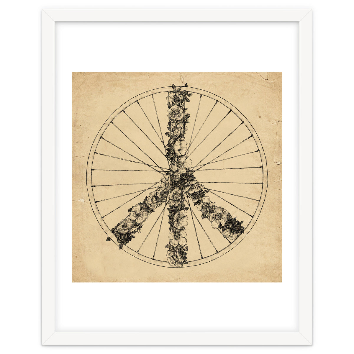 Peace And Bike Lines