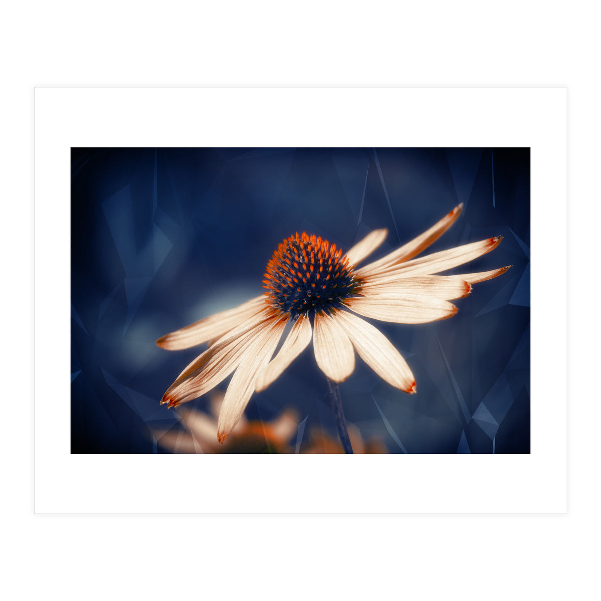 Flowers Indigo (Print Only)