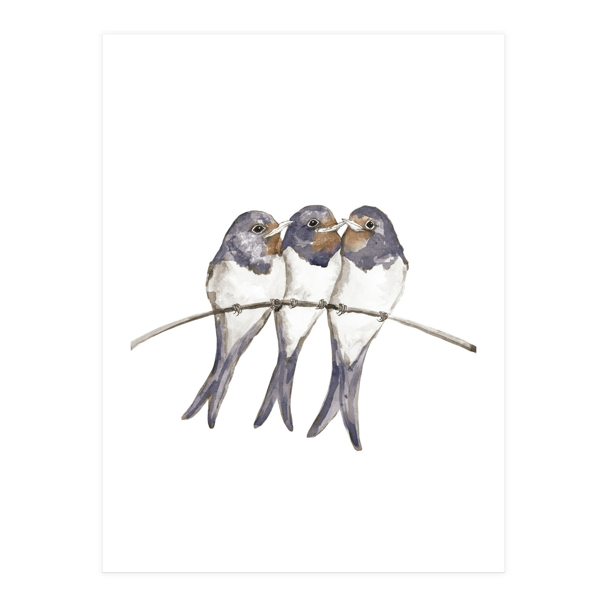 Three young swallows (Print Only)