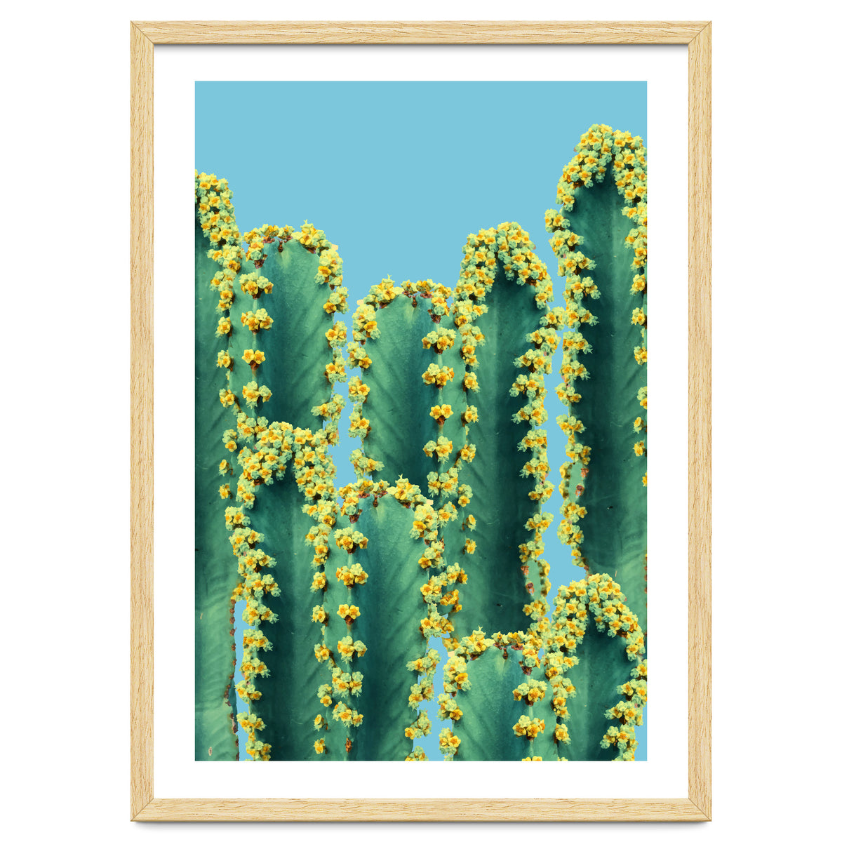 Adorned Cactus V2