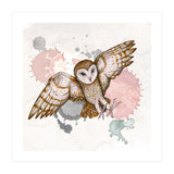 Attacking barn owl (Print Only) thumbnail