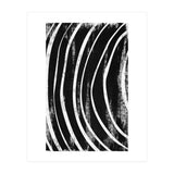Botanicals Collection No12 (Print Only) thumbnail