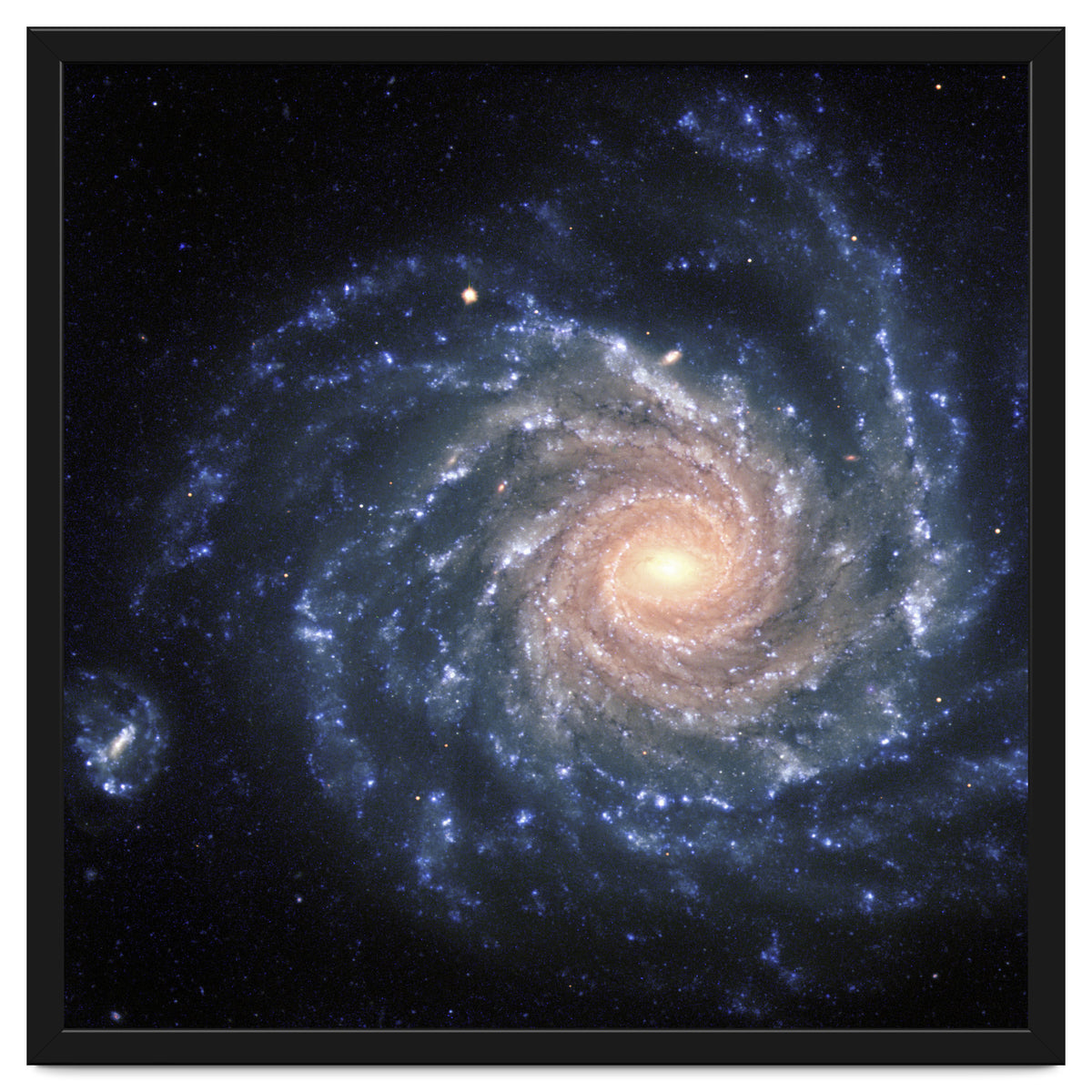 Spiral Galaxy NGC 1232