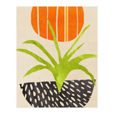 Sunny Houseplant (Print Only) thumbnail