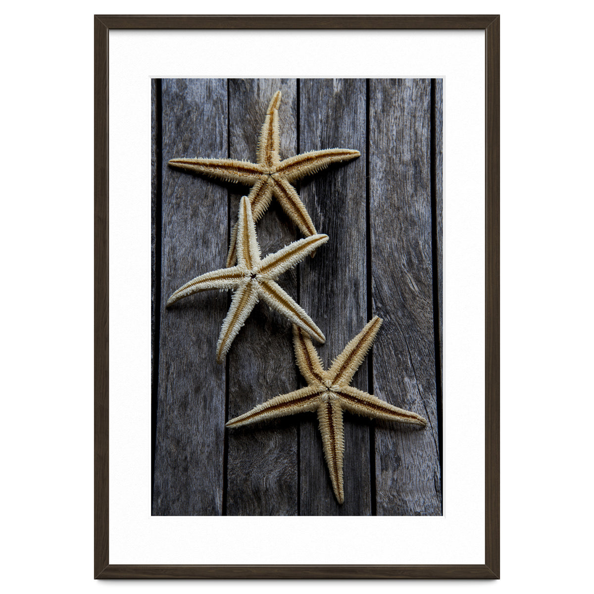 Starfishes in wooden