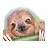 Smiling Sloth (Print Only) thumbnail