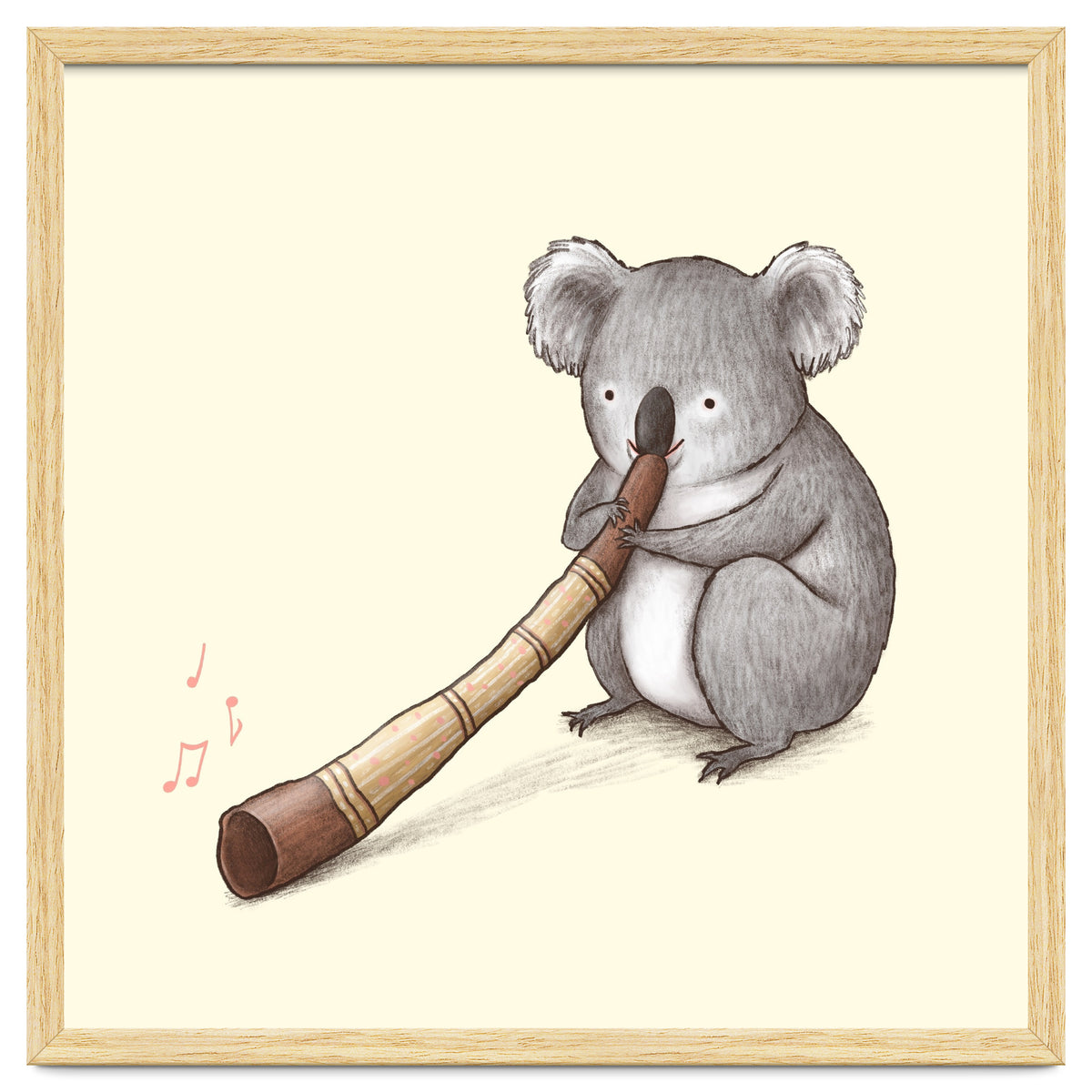 Koala Playing a Didgeridoo